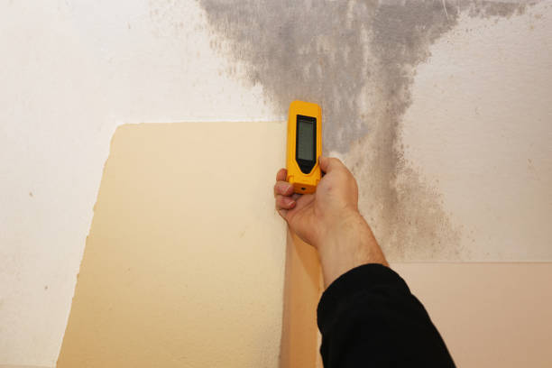 Best Residential Mold Inspection & Testing  in Taunton, MA