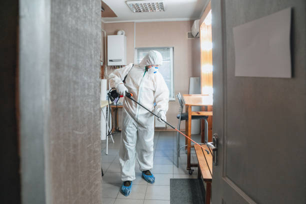 Best Mold-Related Health Consultation  in Taunton, MA