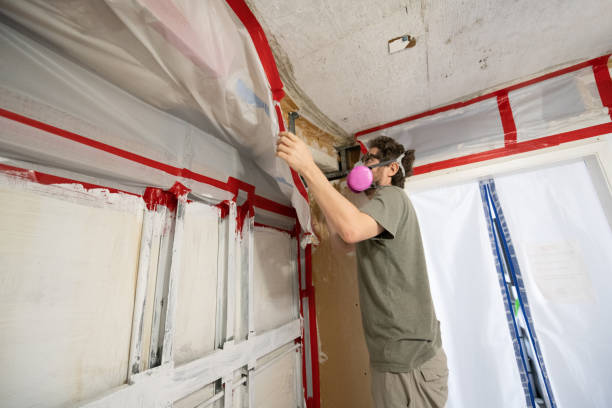 Best Indoor Air Quality Assessment  in Taunton, MA