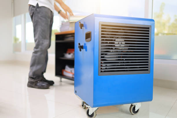 Best Industrial Mold Remediation  in Taunton, MA